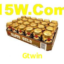 Gtwin App Interface