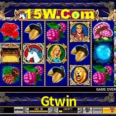 Recursos de Bônus Gtwin